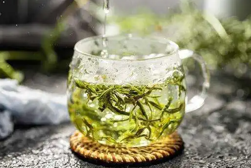 喝绿茶的功效与作用禁忌