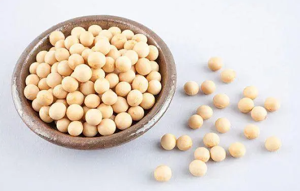 大豆卵磷脂的功效与作用 大豆卵磷脂能长期服用吗